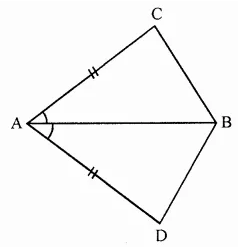 ML Aggarwal Class 7 Solutions for ICSE Maths Chapter 12 Congruence of Triangles Ex 12.1 20