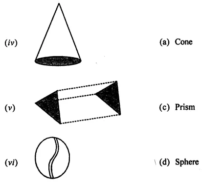 ML Aggarwal Class 7 Solutions for ICSE Maths Chapter 15 Visualising Solid Shapes Ex 15.1 4