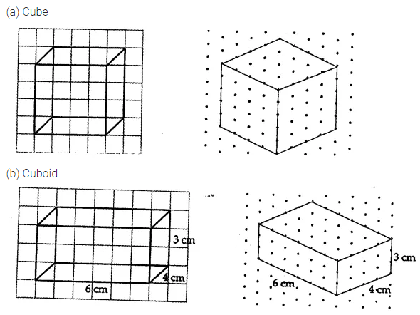 ML Aggarwal Class 7 Solutions for ICSE Maths Chapter 15 Visualising Solid Shapes Ex 15.2 3