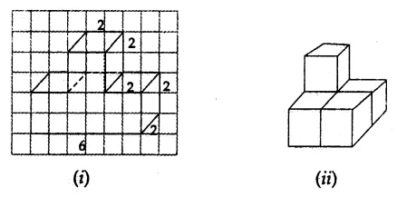 ML Aggarwal Class 7 Solutions for ICSE Maths Chapter 15 Visualising Solid Shapes Ex 15.2 6