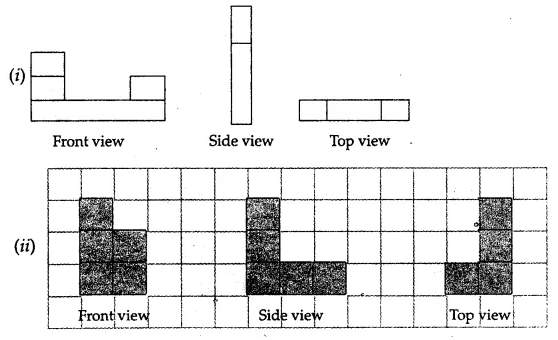 ML Aggarwal Class 7 Solutions for ICSE Maths Chapter 15 Visualising Solid Shapes Ex 15.3 8