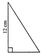 ML Aggarwal Class 7 Solutions for ICSE Maths Chapter 16 Perimeter and Area Check Your Progress 9