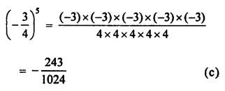 ML Aggarwal Class 7 Solutions for ICSE Maths Chapter 4 Exponents and Powers Objective Type Questions 13