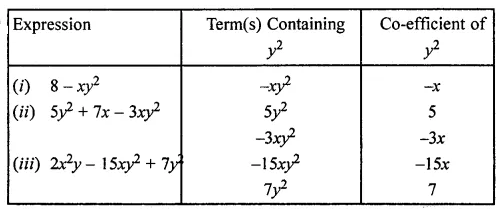 ML Aggarwal Class 7 Solutions for ICSE Maths Chapter 8 Algebraic Expressions Ex 8.1 13