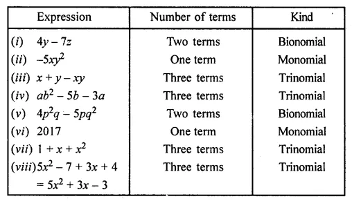 ML Aggarwal Class 7 Solutions for ICSE Maths Chapter 8 Algebraic Expressions Ex 8.1 14