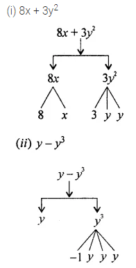 ML Aggarwal Class 7 Solutions for ICSE Maths Chapter 8 Algebraic Expressions Ex 8.1 6