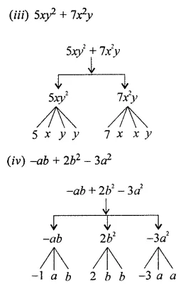 ML Aggarwal Class 7 Solutions for ICSE Maths Chapter 8 Algebraic Expressions Ex 8.1 7