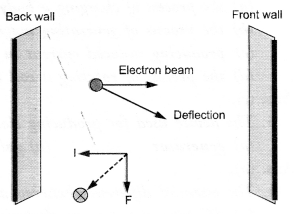 NCERT Solutions for Class 10 Science Chapter 13 विद्युत धारा के चुंबकीय प्रभाव - 7