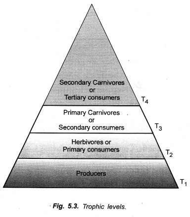 NCERT Solutions for Class 10 Science Chapter 15 Our Environment image - 1