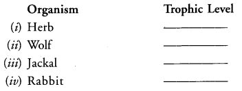 NCERT Solutions for Class 10 Science Chapter 15 Our Environment image - 4