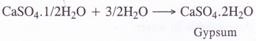 NCERT Solutions for Class 11 Chemistry Chapter 10 The s-Block Elements 57