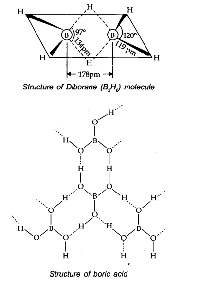 NCERT Solutions for Class 11 Chemistry Chapter 11 The p-Block Elements 15