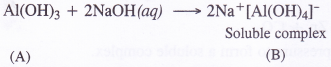 NCERT Solutions for Class 11 Chemistry Chapter 11 The p-Block Elements 24