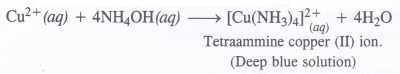 NCERT Solutions for Class 11 Chemistry Chapter 11 The p-Block Elements 49