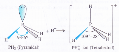 NCERT Solutions for Class 11 Chemistry Chapter 11 The p-Block Elements 51