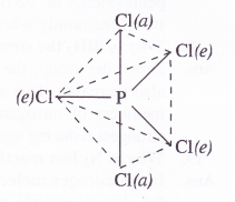 NCERT Solutions for Class 11 Chemistry Chapter 11 The p-Block Elements 54