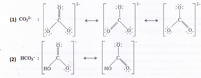 NCERT Solutions for Class 11 Chemistry Chapter 11 The p-Block Elements 8