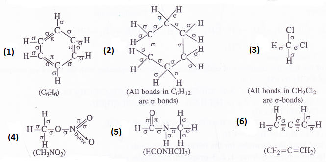 NCERT Solutions for Class 11 Chemistry Chapter 12 Organic Chemistry Some Basic Principles and Techniques 2