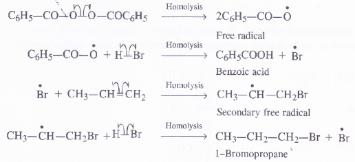 NCERT Solutions for Class 11 Chemistry Chapter 13 Hydrocarbons 20