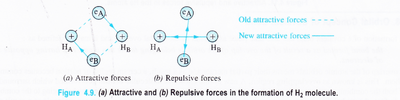 NCERT Solutions for Class 11 Chemistry Chapter 4 Chemical Bonding and Molecular Structure 34