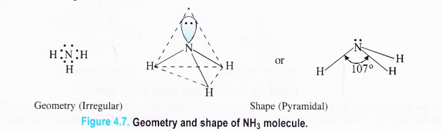 NCERT Solutions for Class 11 Chemistry Chapter 4 Chemical Bonding and Molecular Structure 9