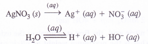 NCERT Solutions for Class 11 Chemistry Chapter 8 Redox Reactions 41