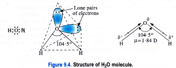 NCERT Solutions for Class 11 Chemistry Chapter 9 Hydrogen 13