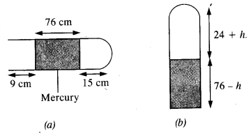 NCERT Solutions for Class 11 Physics Chapter 13 Kinetic Theory 13