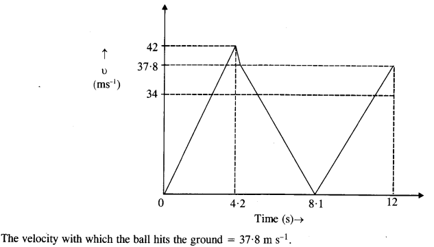 NCERT Solutions for Class 11 Physics Chapter 3 Motion in a Straight Line 10