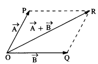 NCERT Solutions for Class 11 Physics Chapter 4 Motion in a Plane 3