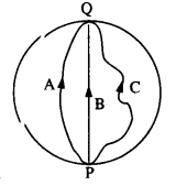 NCERT Solutions for Class 11 Physics Chapter 4 Motion in a Plane 9