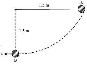 NCERT Solutions for Class 11 Physics Chapter 6 Work, Energy and Power 20