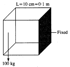 NCERT Solutions for Class 11 Physics Chapter 9 Mechanical Properties of Solids 7