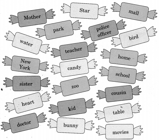 Noun Exercises for Class 7 CBSE With Answers