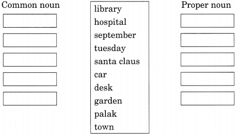 Noun Exercises for Class 7 CBSE With Answers