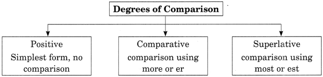 Exercise On Adjectives for Class 7 CBSE With Answers