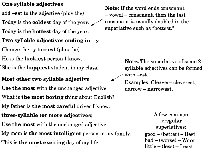 Exercise On Adjectives for Class 7 CBSE With Answers