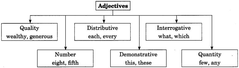 Exercise On Adjectives for Class 7 CBSE With Answers