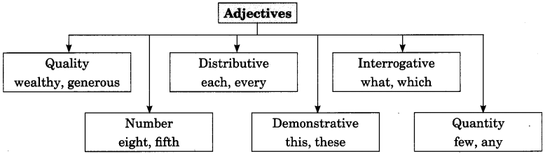 exercise-on-adjectives-for-class-7-cbse-with-answers