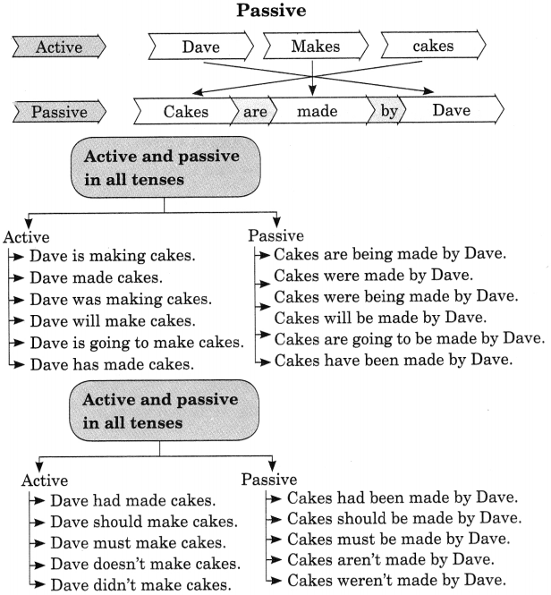 Active And Passive Voice Exercises For Class 8 With Answers Cbse Tet Success Key