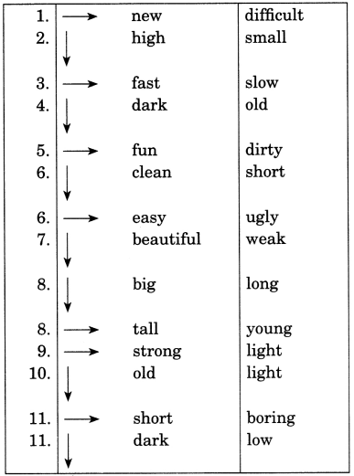 Exercise On Adjectives for Class 6 CBSE With Answers 1