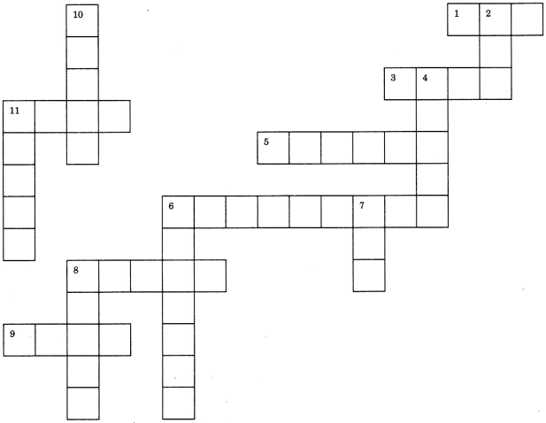 Exercise On Adjectives for Class 6 CBSE With Answers 2