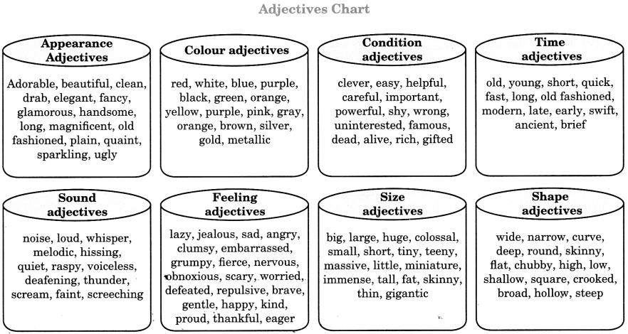 Exercise On Adjectives for Class 6 CBSE With Answers
