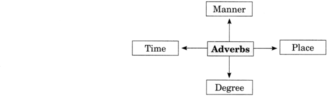 Adverb Exercises for Class 6 CBSE With Answers 2