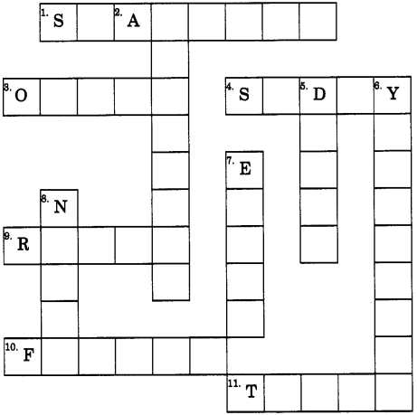 Adverb Exercises for Class 8