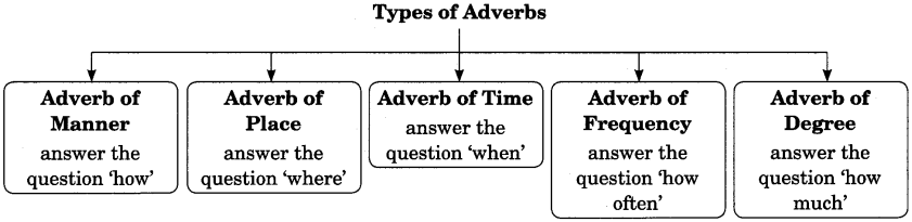 adverb-exercises-for-class-7-cbse-with-answers