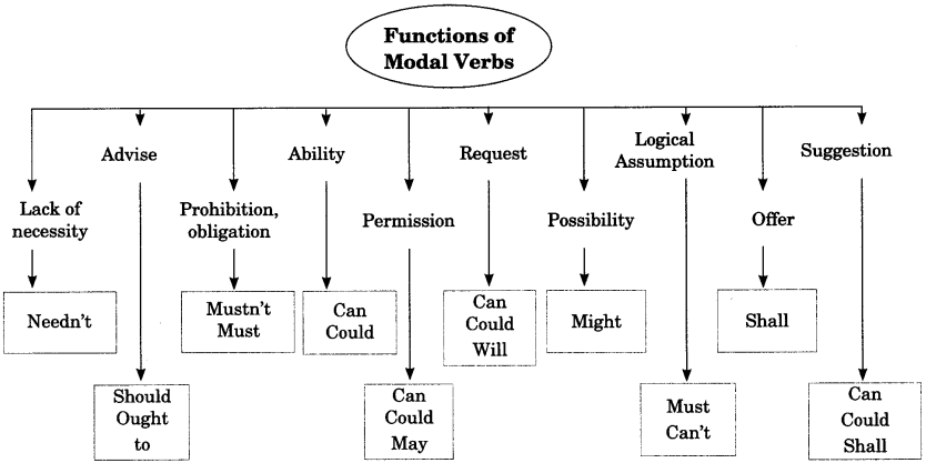 Modals Exercises for Class 6 With Answers