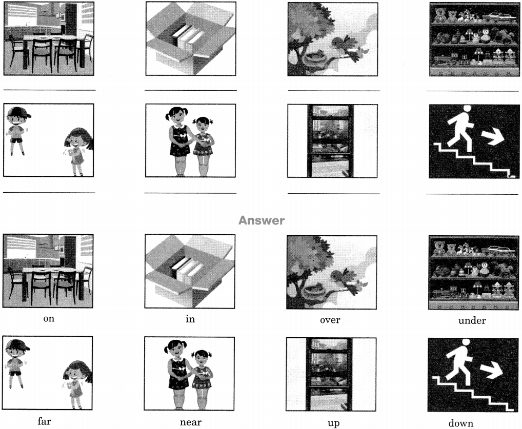 Preposition Exercises for Class 6 CBSE With Answers