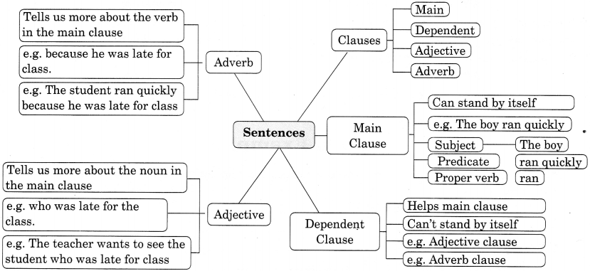 Sentences Exercises for Class 7 CBSE With Answers