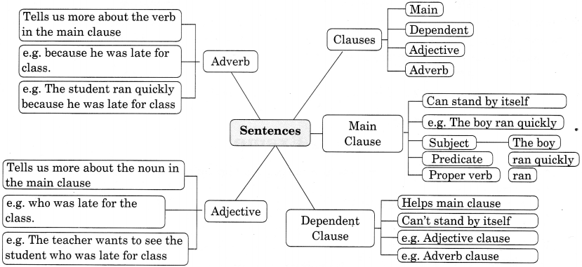 sentences-exercises-for-class-7-cbse-with-answers